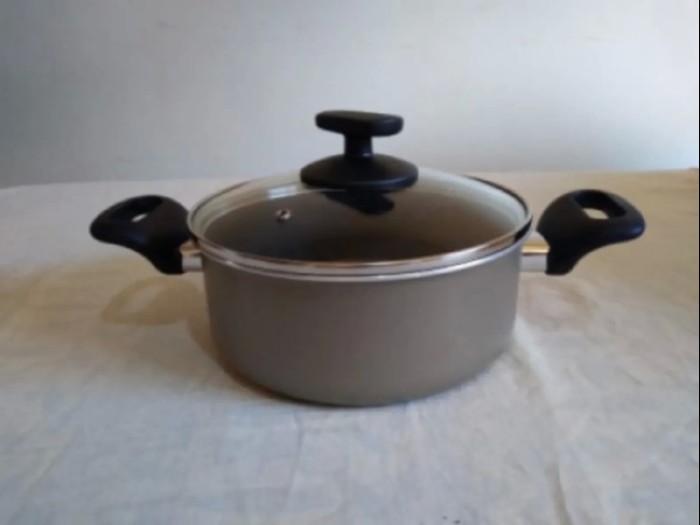 Casserole Pot &amp; Lid (20cm)