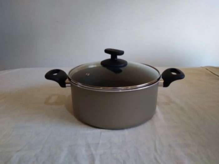 Casserole Pot &amp; Lid (24cm)