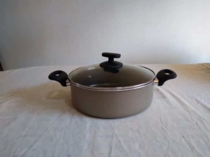 Casserole Pot &amp; Lid (26cm)